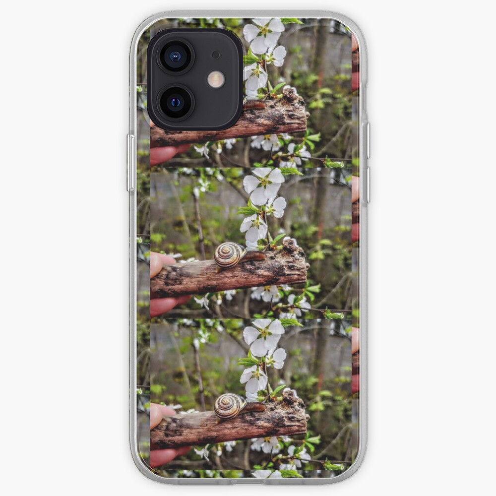 The garden snail (Helix aspersa) By Yannis Lobaina iPhone Case & Cover