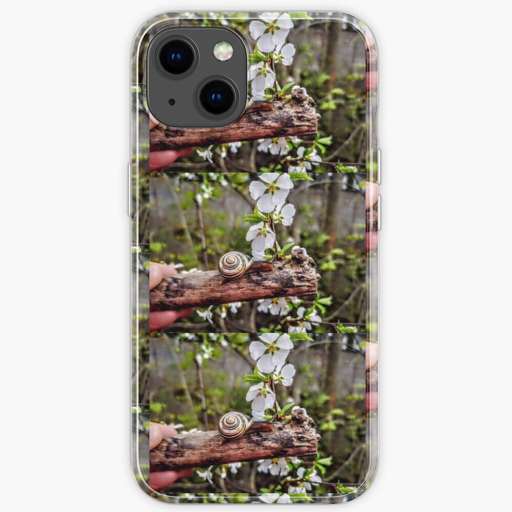 The garden snail (Helix aspersa) By Yannis Lobaina iPhone Case