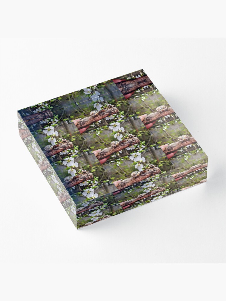 Alternate view of The garden snail (Helix aspersa) By Yannis Lobaina Acrylic Block