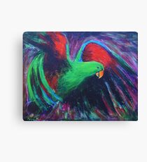 Eclectus parrot Canvas Print
