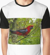 Crimson Rosella at O'Reilly's Graphic T-Shirt