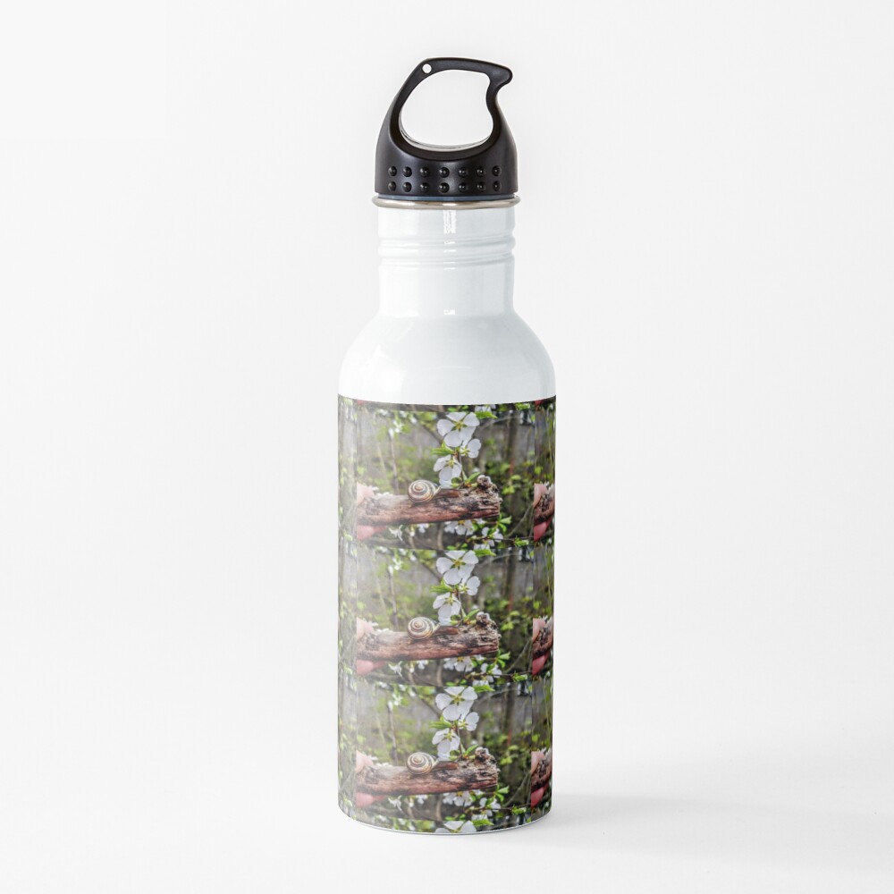 The garden snail (Helix aspersa) By Yannis Lobaina Water Bottle