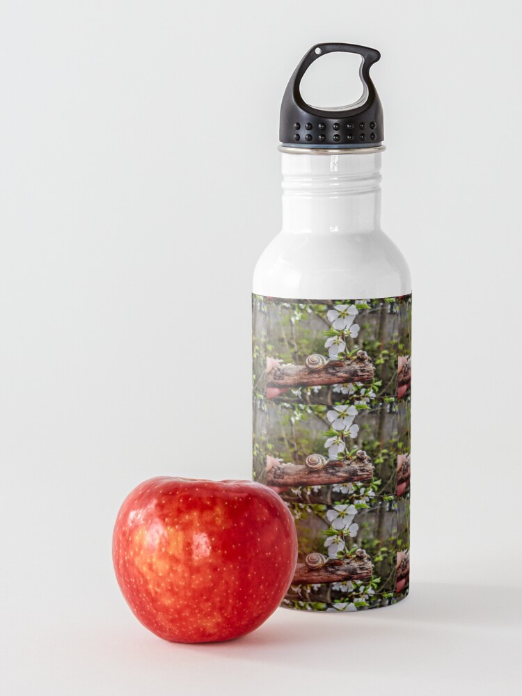 Alternate view of The garden snail (Helix aspersa) By Yannis Lobaina Water Bottle
