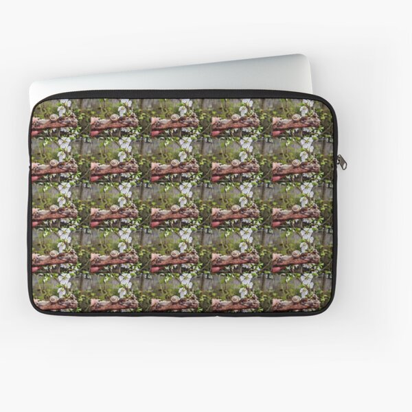 The garden snail (Helix aspersa) By Yannis Lobaina Laptop Sleeve
