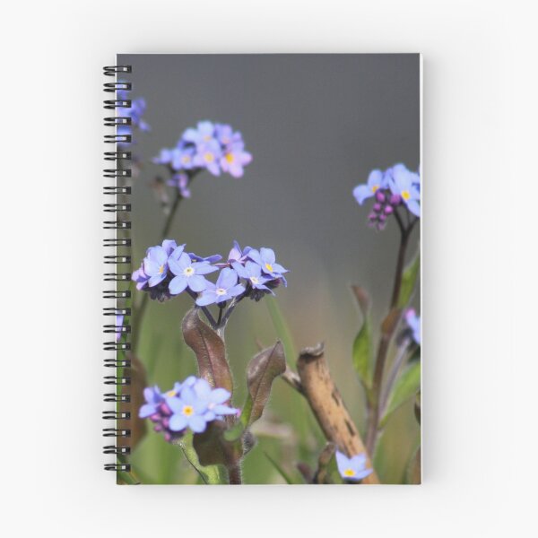 Item preview, Forget-me-not designed and sold by Jo Nijenhuis.