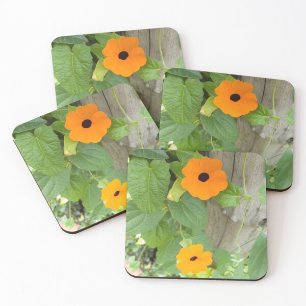 Item preview, Orange flower, poet's eye, with green leaves. In trunk designed and sold by Zoraida Olvera.