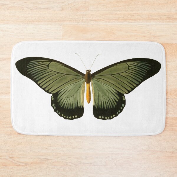 Item preview, Vintage Green Butterfly Illustration designed and sold by xostarboyxo.