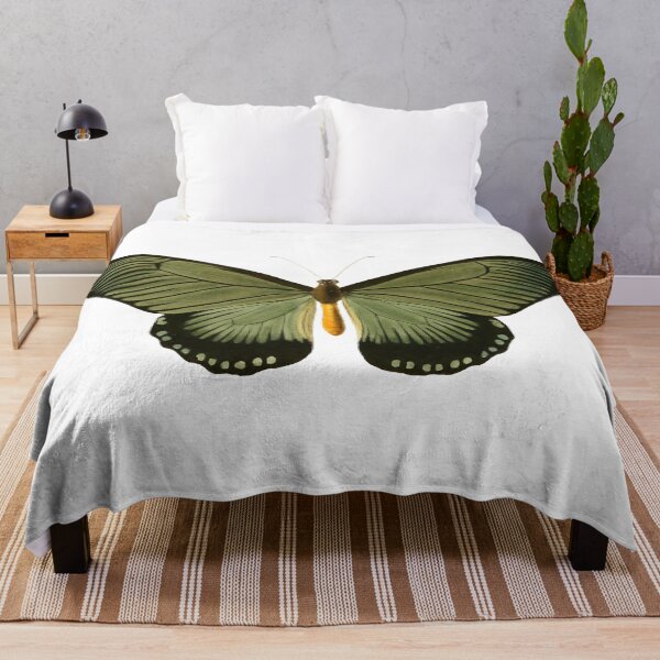Item preview, Vintage Green Butterfly Illustration designed and sold by xostarboyxo.
