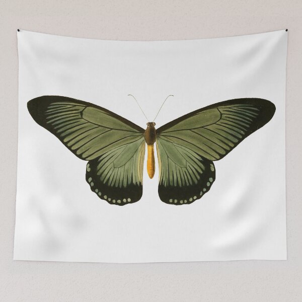 Item preview, Vintage Green Butterfly Illustration designed and sold by xostarboyxo.