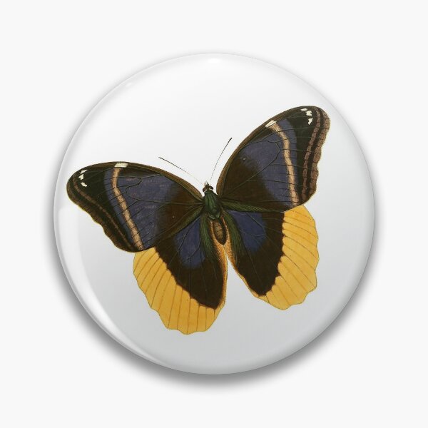 Item preview, Vintage Black and Yellow Butterfly Illustration designed and sold by xostarboyxo.