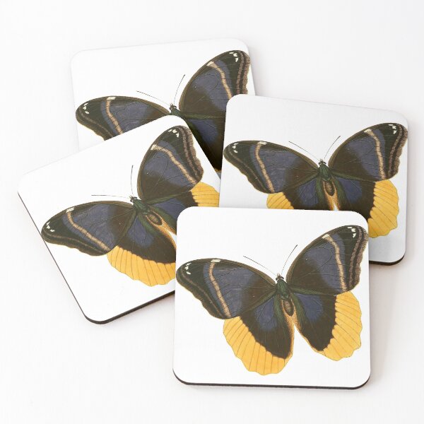 Item preview, Vintage Black and Yellow Butterfly Illustration designed and sold by xostarboyxo.
