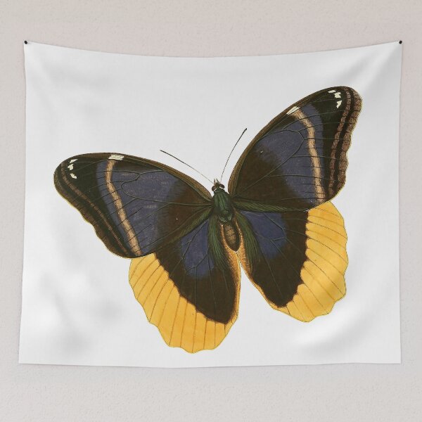 Item preview, Vintage Black and Yellow Butterfly Illustration designed and sold by xostarboyxo.