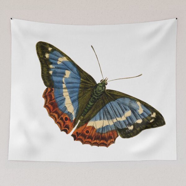 Item preview, Vintage Blue and Red Butterfly Illustration designed and sold by xostarboyxo.