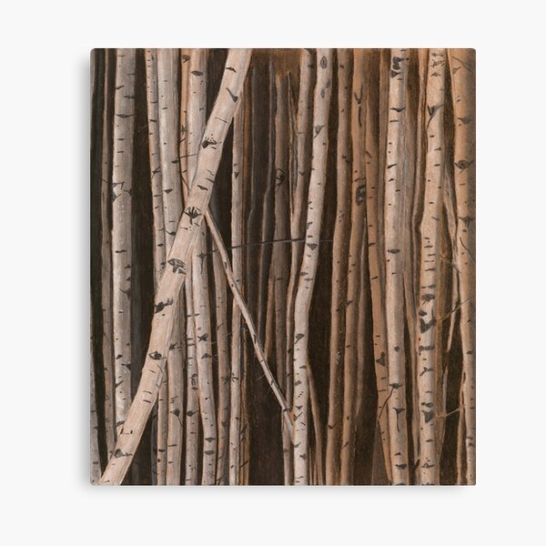 Tranquil Canvas Print