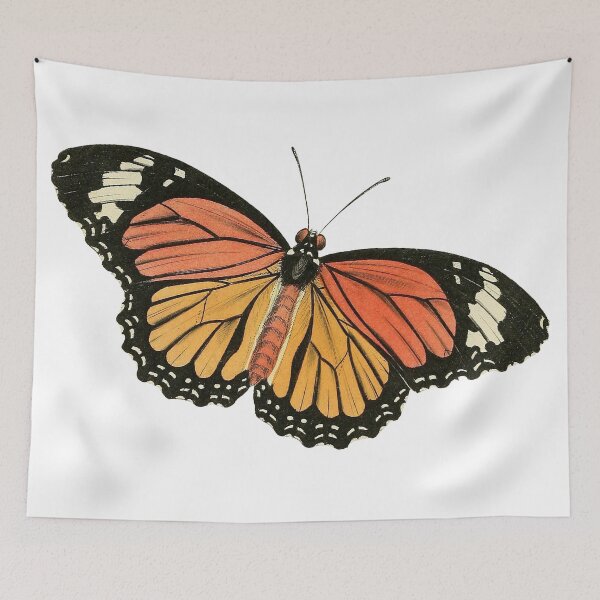 Item preview, Vintage Monarch Butterfly Illustration designed and sold by xostarboyxo.