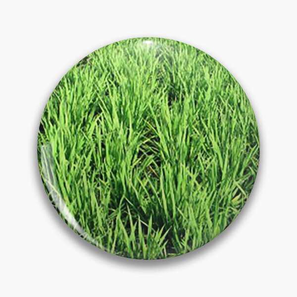 Item preview, rice paddy fields, greenery, agriculture photo designed and sold by Nostrathomas66.
