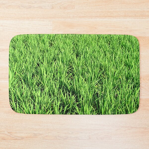 Item preview, rice paddy fields, greenery, agriculture photo designed and sold by Nostrathomas66.