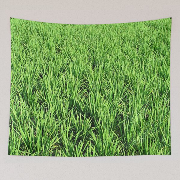 Item preview, rice paddy fields, greenery, agriculture photo designed and sold by Nostrathomas66.
