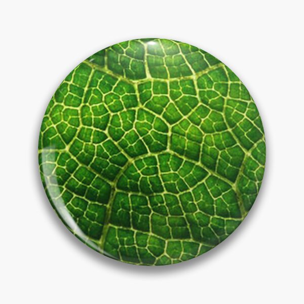 Item preview, Green leaf close-up pattern photo backround chlorophyll designed and sold by Nostrathomas66.