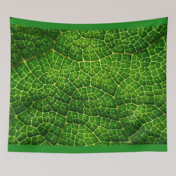 Item preview, Green leaf close-up pattern photo backround chlorophyll designed and sold by Nostrathomas66.