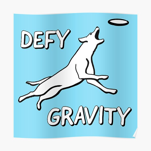 best dog frisbee reddit