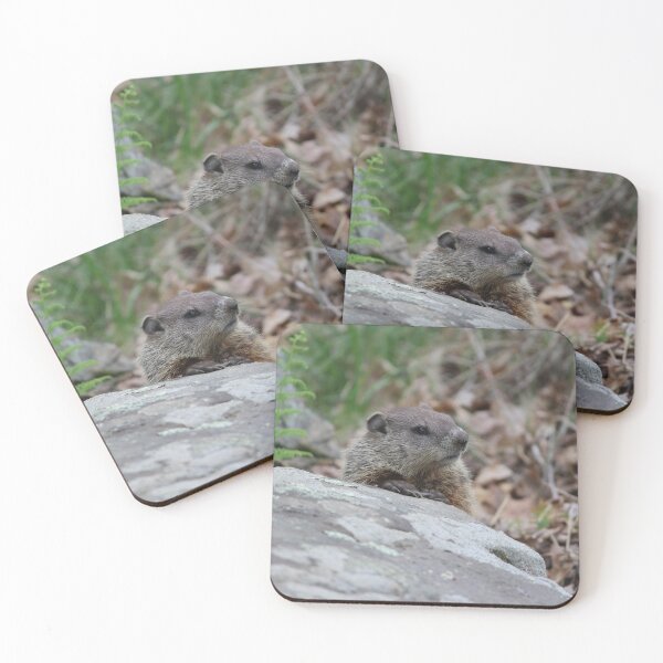 Item preview, Pensive Woodchuck designed and sold by LisaNaturePhoto.