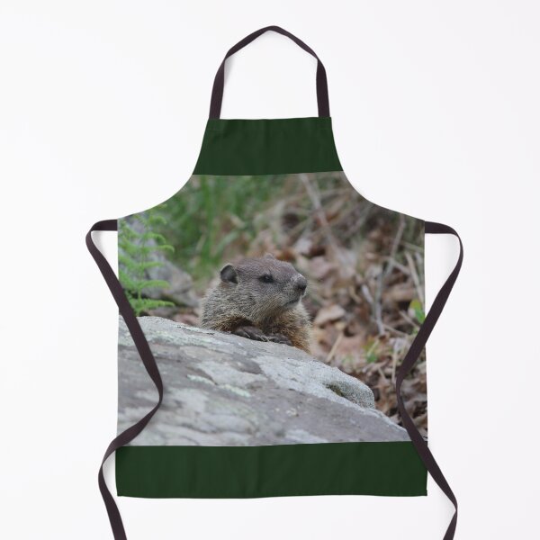 Item preview, Pensive Woodchuck designed and sold by LisaNaturePhoto.
