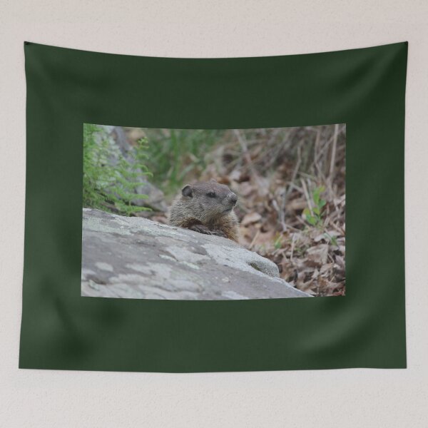 Item preview, Pensive Woodchuck designed and sold by LisaNaturePhoto.