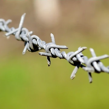 Artwork thumbnail, Fenced In by Donna Keevers Driver