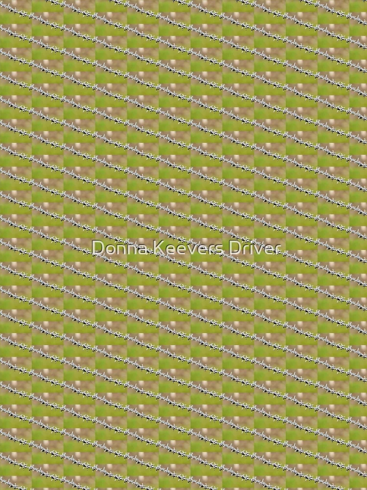 Thumbnail 3 of 3, Scarf, Fenced In designed and sold by Donna Keevers Driver.