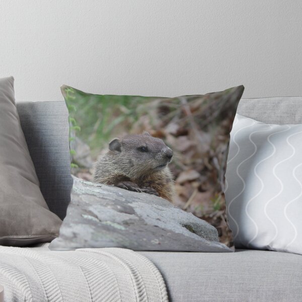 Item preview, Pensive Woodchuck designed and sold by LisaNaturePhoto.