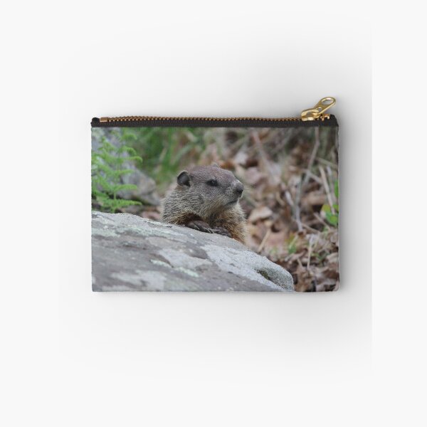Artikelvorschau, Nachdenkliches Waldmurmeltier entworfen und verkauft von LisaNaturePhoto.