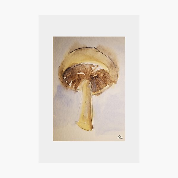 Watercolor Mushroom by wipjenni Photographic Print