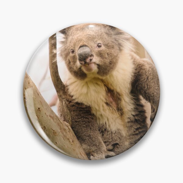 Item preview, Koala 17 designed and sold by Werner Padarin.