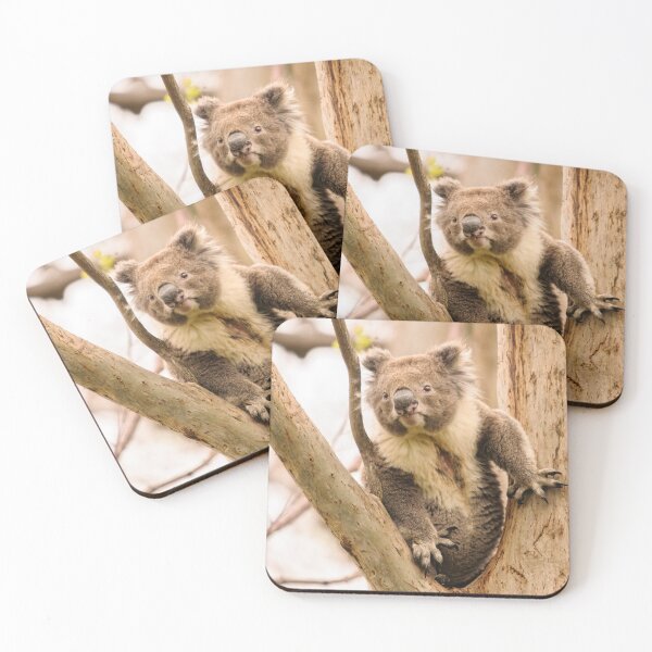 Item preview, Koala 17 designed and sold by Werner Padarin.