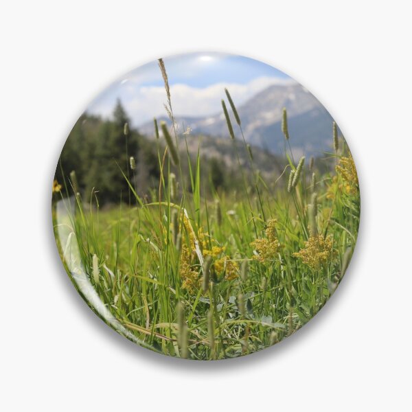 Artikelvorschau, Wilde Flora im Rocky Mountain National Park entworfen und verkauft von lbmaddox.