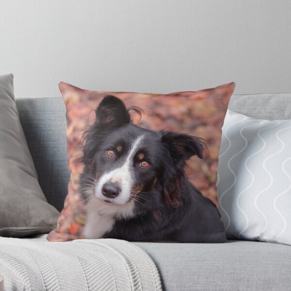Item preview, border collie in autumn colors designed and sold by Pokofoto.