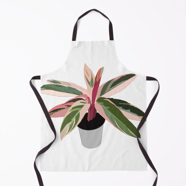 Item preview, Pink Variegated Calathea (triostar stromanthe) designed and sold by Andie Janik.