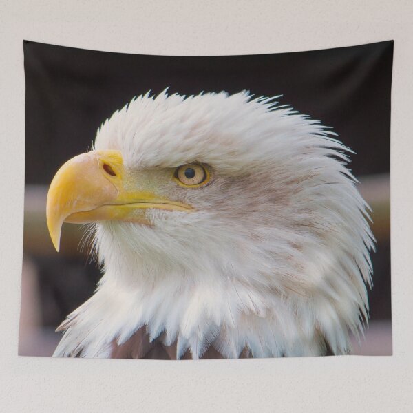 Item preview, Eagle Photo  designed and sold by Animal Gifts For Animal Lovers.