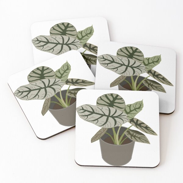 Item preview, Caladium (Caladium Bicolor) designed and sold by Andie Janik.