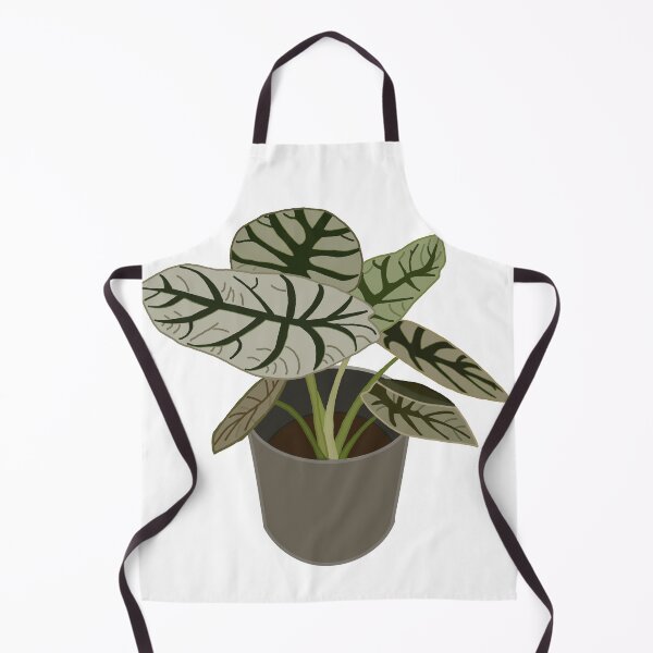 Item preview, Caladium (Caladium Bicolor) designed and sold by Andie Janik.