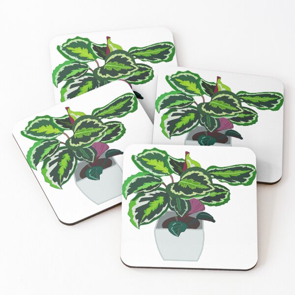Item preview, Calathea (goeppertia roseopicta) designed and sold by Andie Janik.