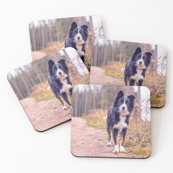 Item preview, border collie in autumn forest designed and sold by Pokofoto.