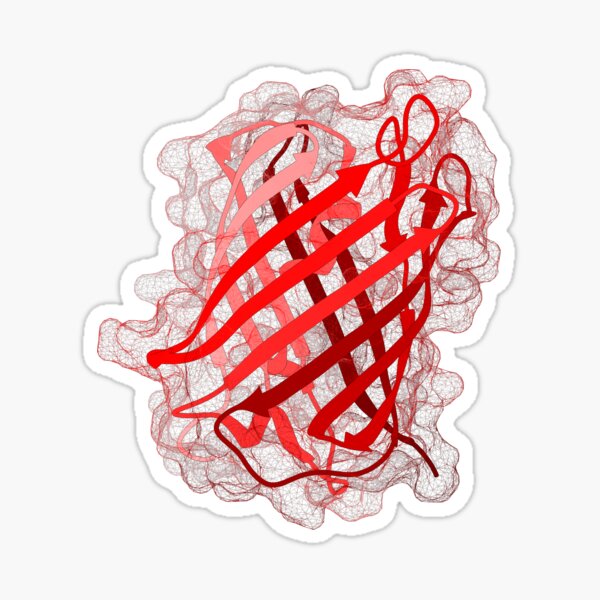 Item preview, mCherry Fluorescent Protein designed and sold by 3D Biology.