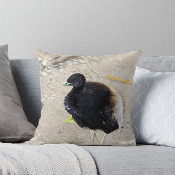 Item preview, Gray Winged Trumpeter designed and sold by rhamm.