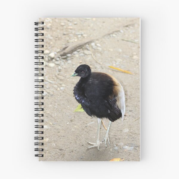 Item preview, Gray Winged Trumpeter designed and sold by rhamm.