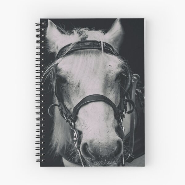 Item preview, White Horse In Dark Background designed and sold by TastefulDesigns.