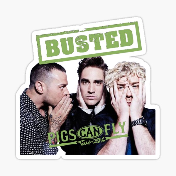 Busted Pigs Can Fly Sticker