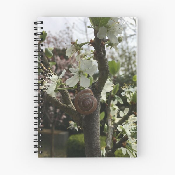 Item preview, Ciruelo y caracol designed and sold by RDLT.