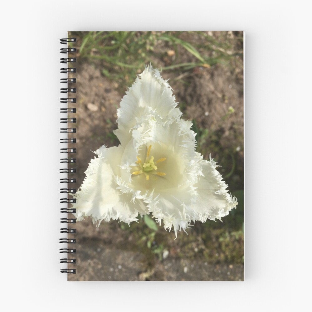 Item preview, Spiral Notebook designed and sold by RDLT.